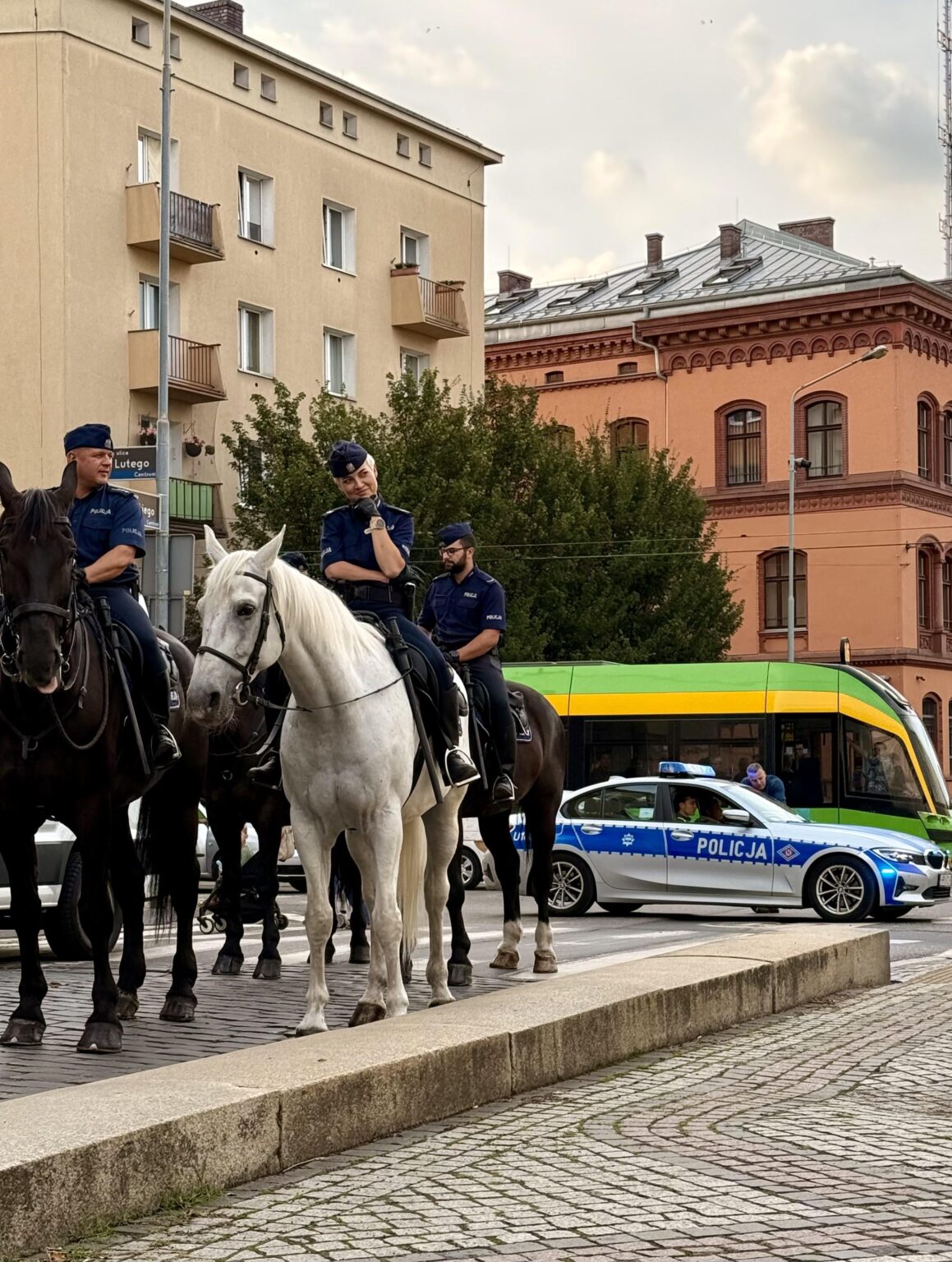 Police Day in Poznań
