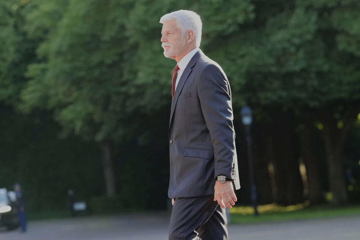 Criminalized Communist Ideology in the Czech Republic - Reactions from the Left