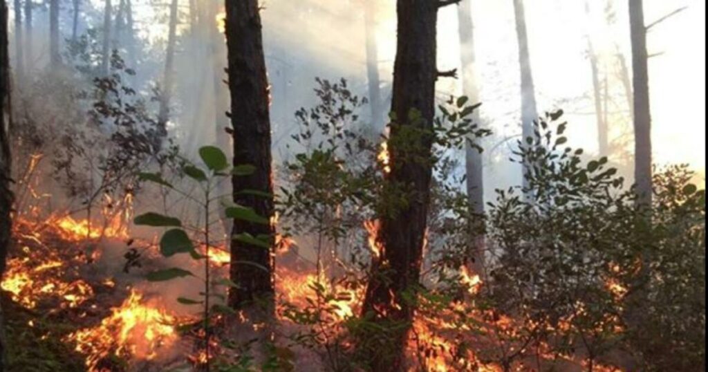 QMK: Five active fires in North Macedonia - Telegraph