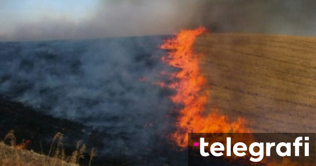 QMK: In the last 24 hours, 33 fires in the territory of North Macedonia - Telegraph