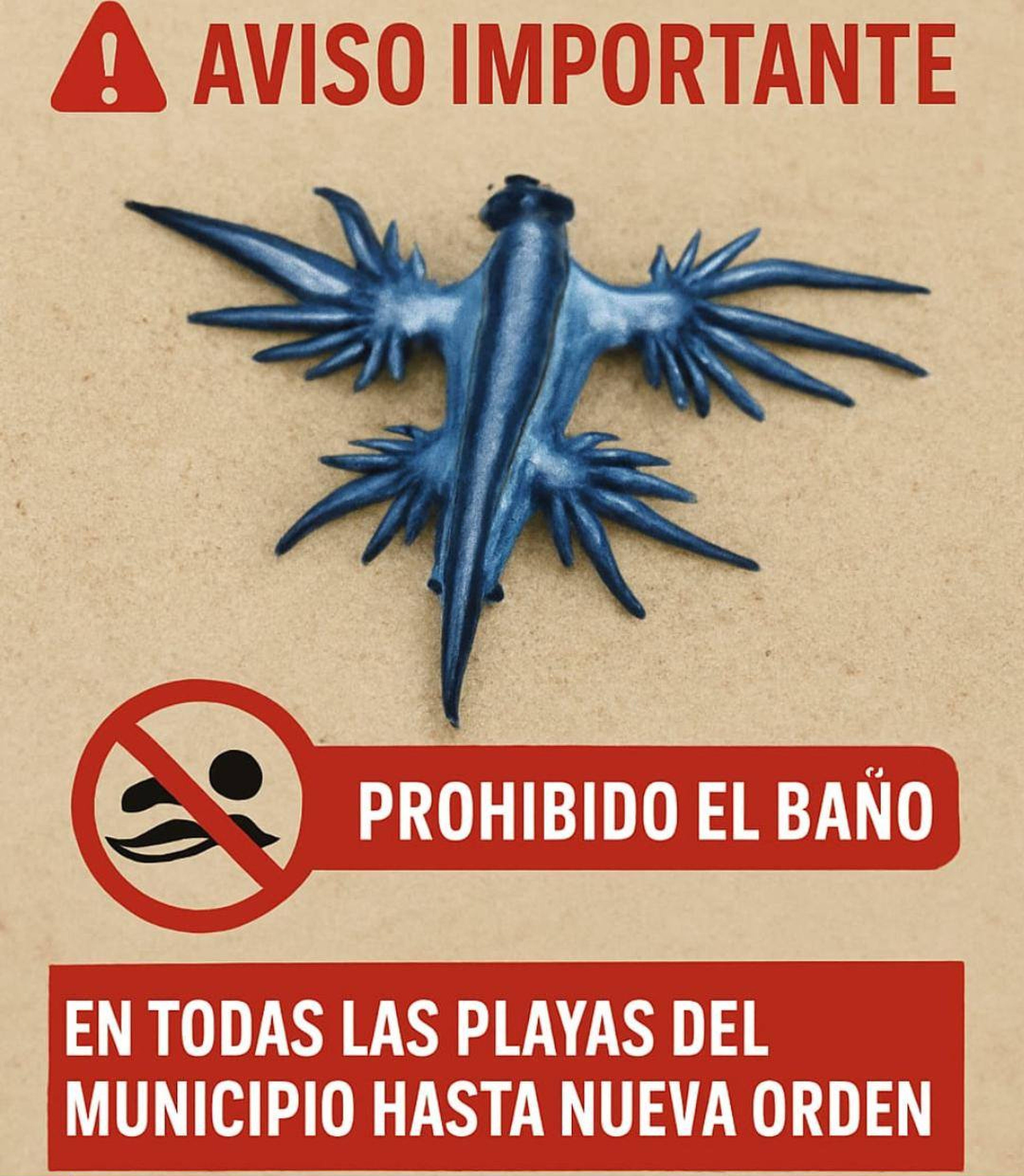 Illustration of a blue dragon sea slug with a warning sign prohibiting swimming.