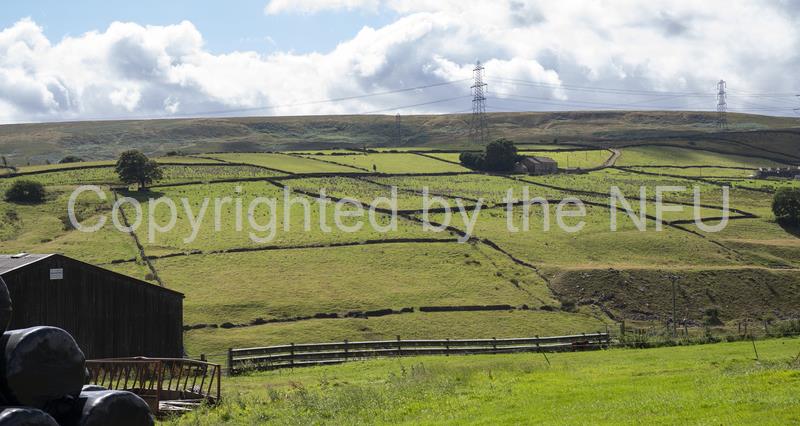 Extreme weather and agri-environment schemes – latest news – NFUonline