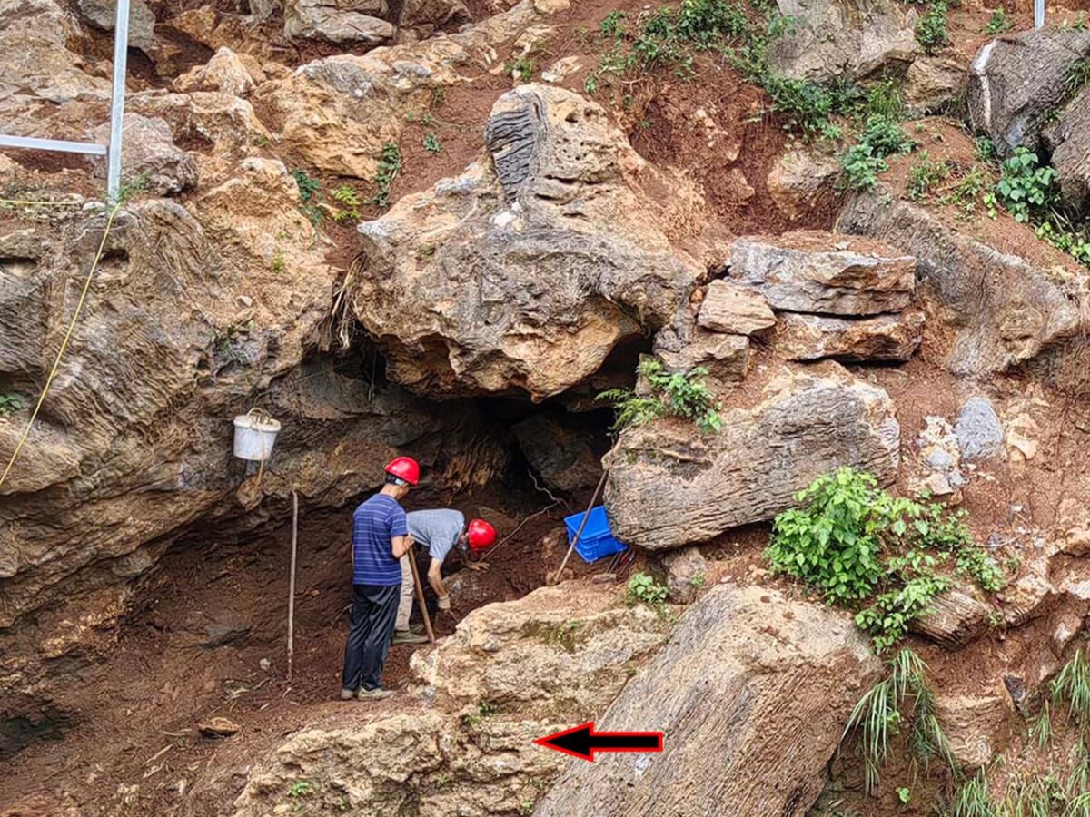 A Discovery in China Rewrites Human History: 300,000-Year-Old Teeth Suggest Interbreeding Between Homo sapiens and Homo erectus