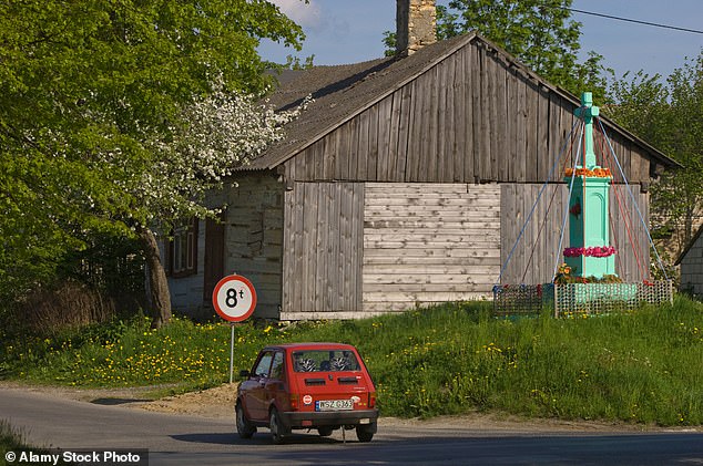 The object fell and detonated in a cornfield in the village of Osiny, located in Lublin province, near the Ukrainian border