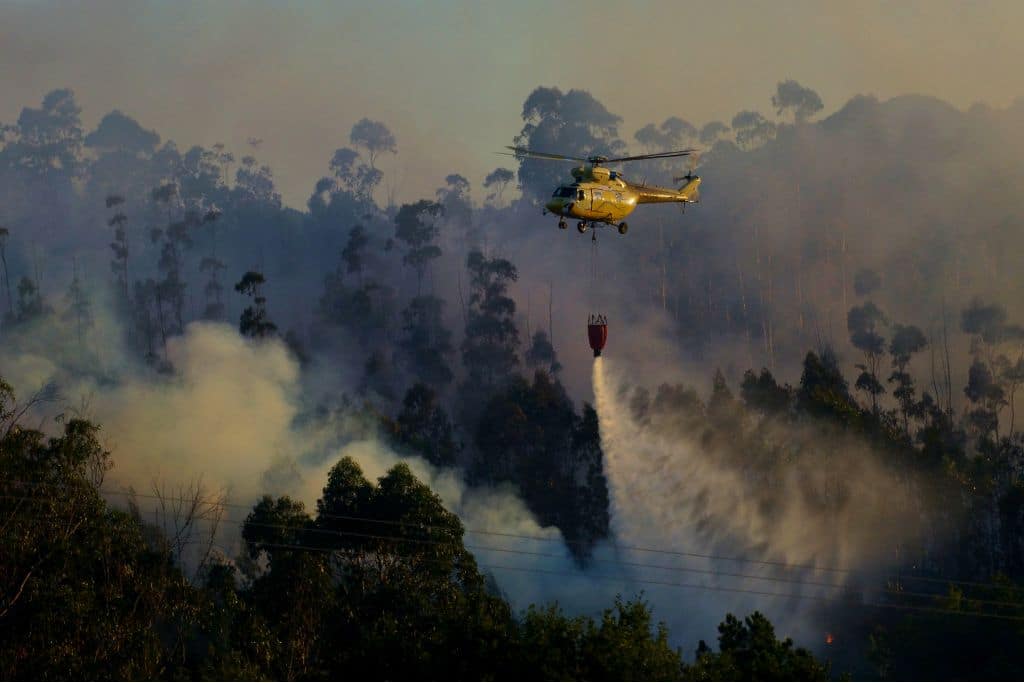 Spain Sees Highest Wildfire Emissions Since 2003 As Iberian Peninsula Burns