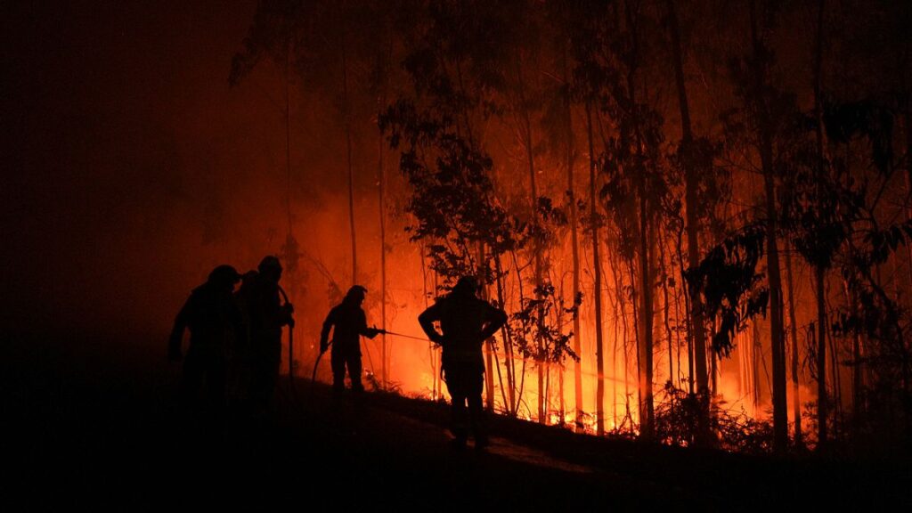 Video. Fires in northwest Spain destroy hundreds of hectares of forest Video. Fires in northwest Spain destroy hundreds of hectares of forest