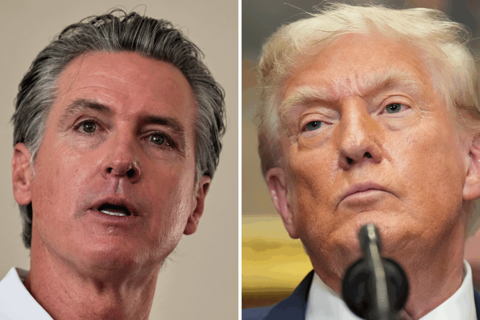 Gavin Newsom & Donald Trump