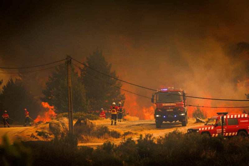 One dead in Spain wildfires as heatwave grips southern Europe