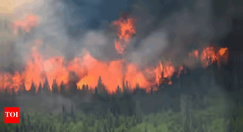 Man killed in Spain wildfire as heat wave rages in Europe