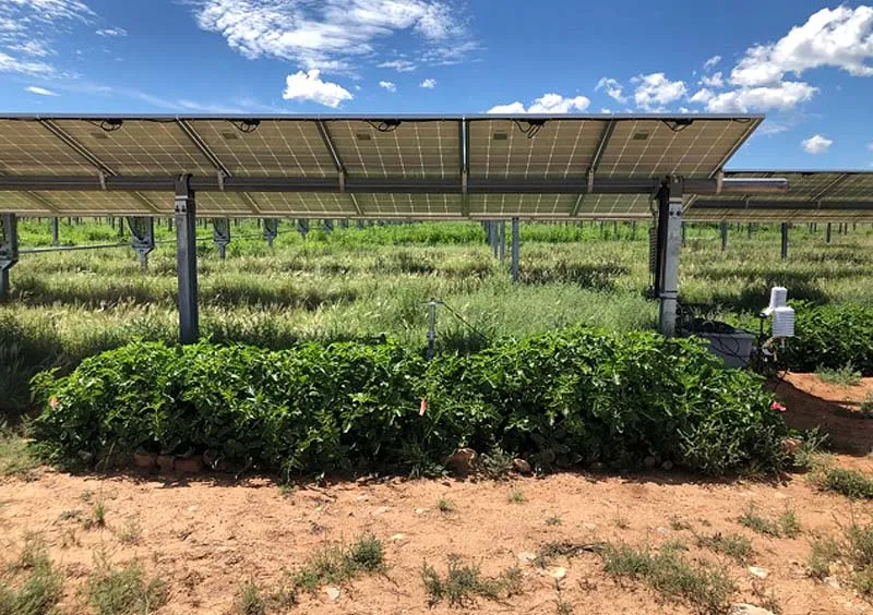 Energized Watershed Project Could Boost New Mexico Economy, Increase Water Security – Los Alamos Reporter