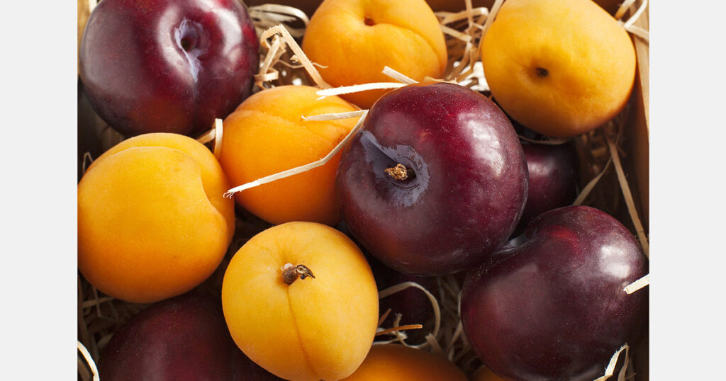 Uzbekistan and Poland’s Green Crops discuss fruit and vegetable exports to Europe Uzbekistan and Poland’s Green Crops discuss fruit and vegetable exports to Europe