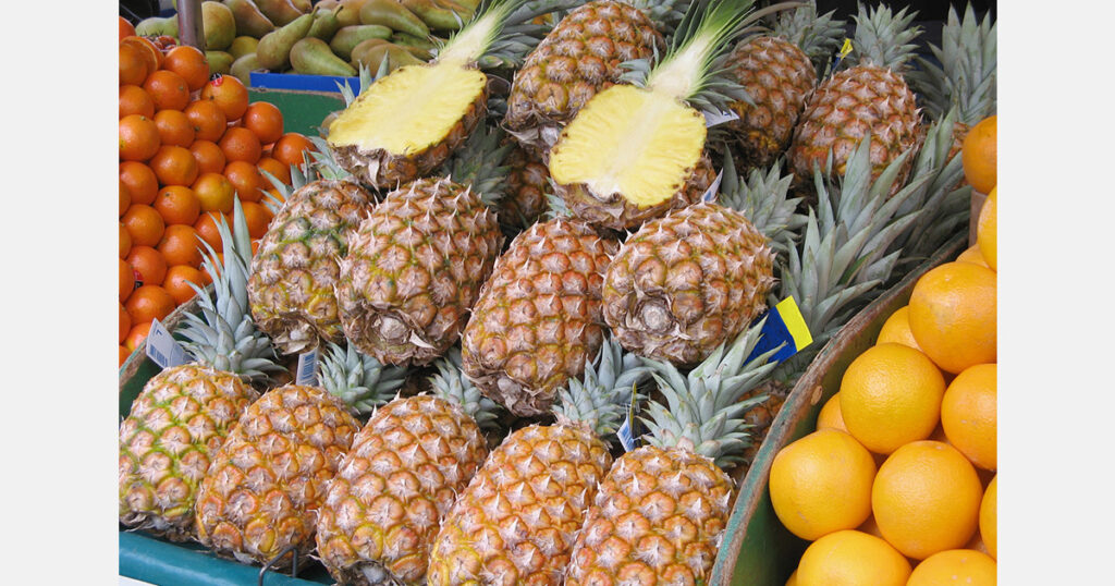 Costa Rican pineapples up to 7 times cheaper than local fruits in North Macedonia