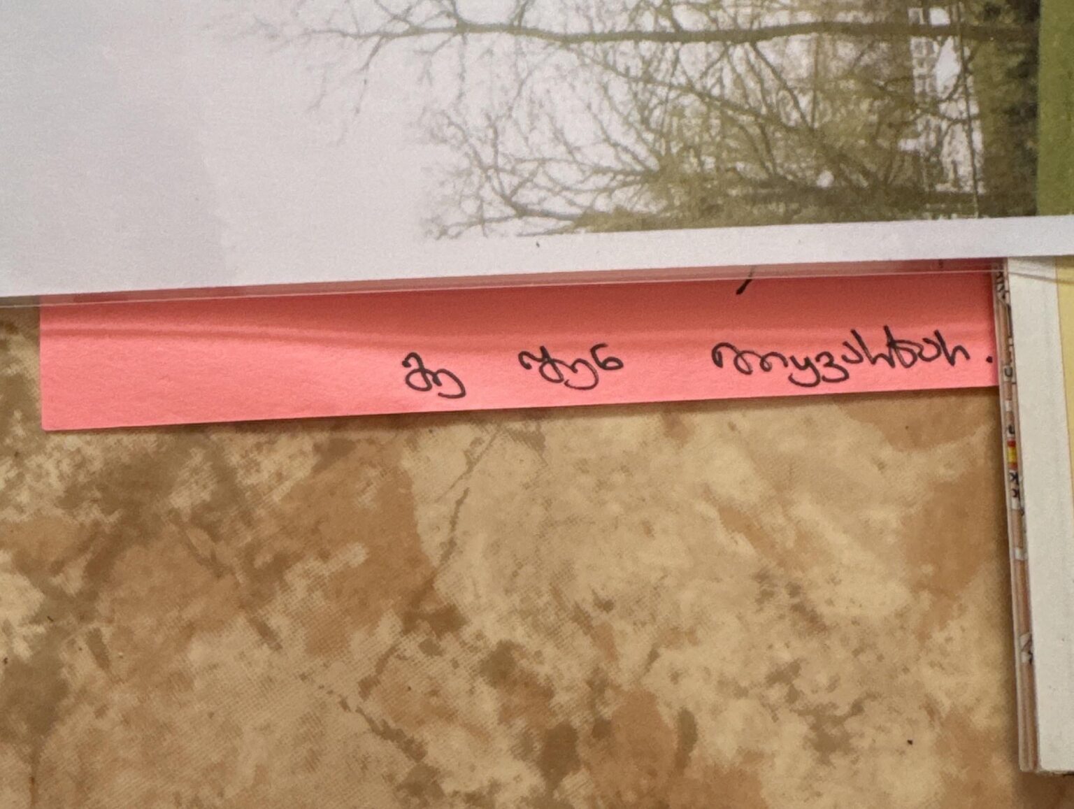 Help with translation
