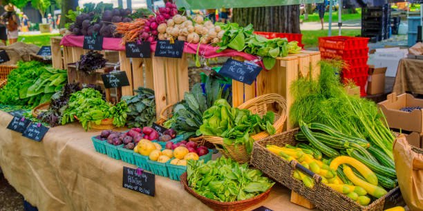 Kazakhstan Plans to Boost Agricultural Exports to Serbia