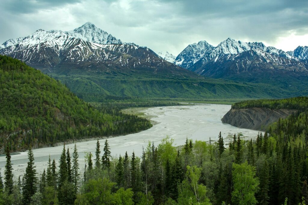 Alaska’s Salt Marshes Open a New Market for Eco Research