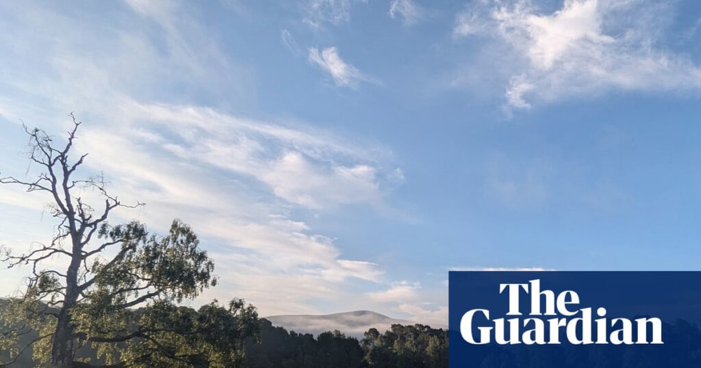 Country diary: I could stay at this loch all day | Environment