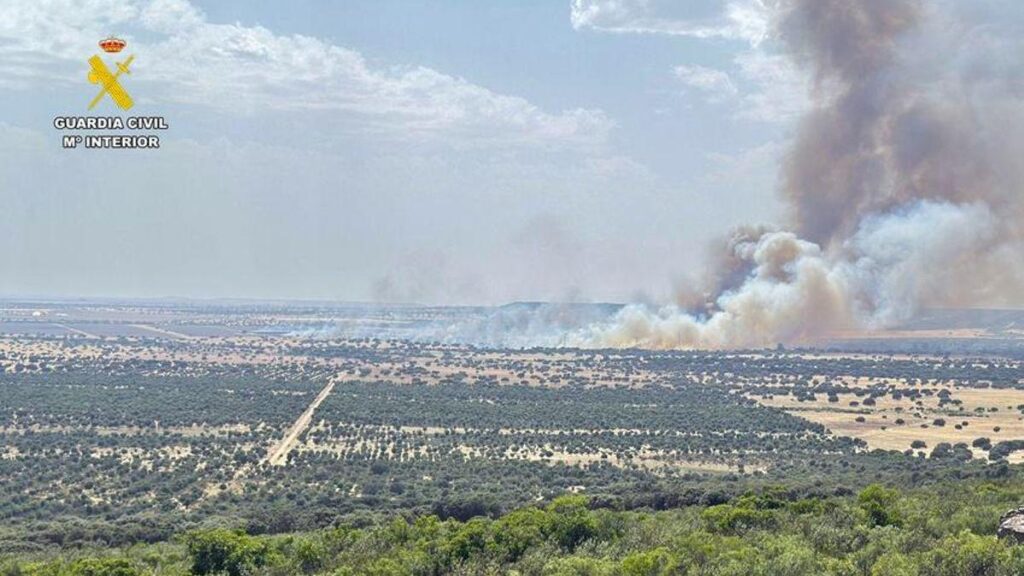 Photovoltaic plant could have caused fire in houses of Don Pedro