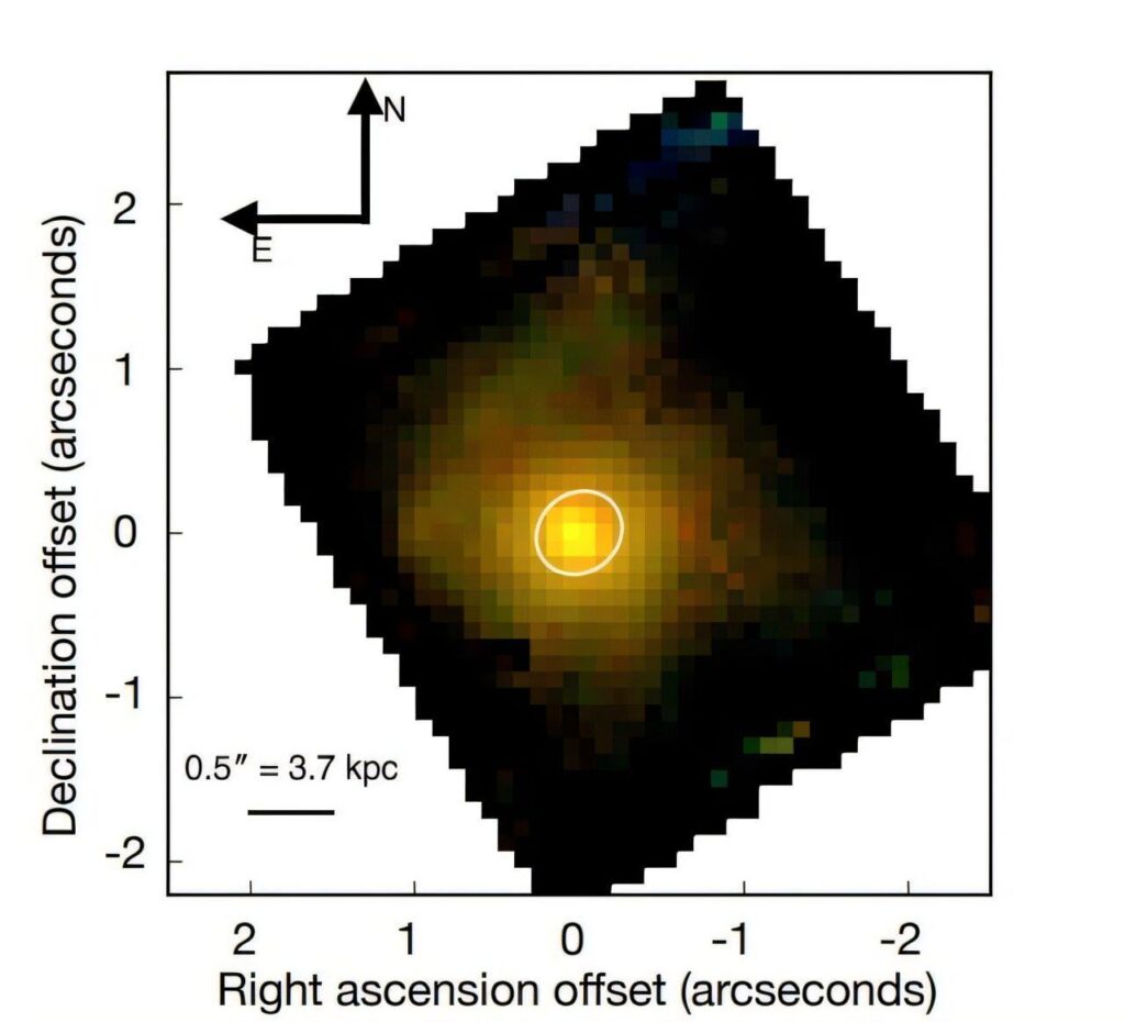 XMM-VID1-2075 is a massive, evolved and slow-rotating galaxy, observations suggest
