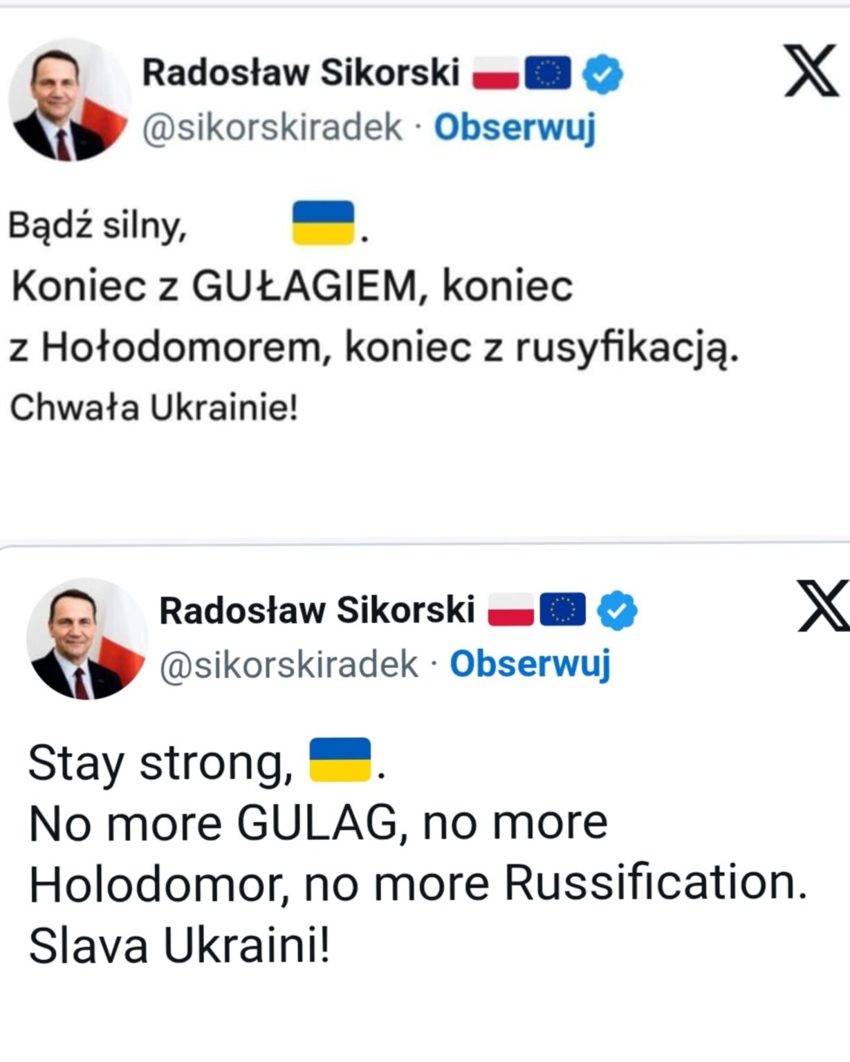 Sikorski supports Ukraine on Independence Day.