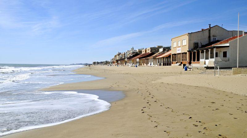 Venomous sea slugs reason for beach closure in Spain