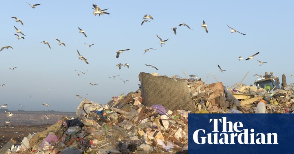 Licence to burn: Victoria is changing the way it deals with rubbish – is it moving too fast? | Waste
