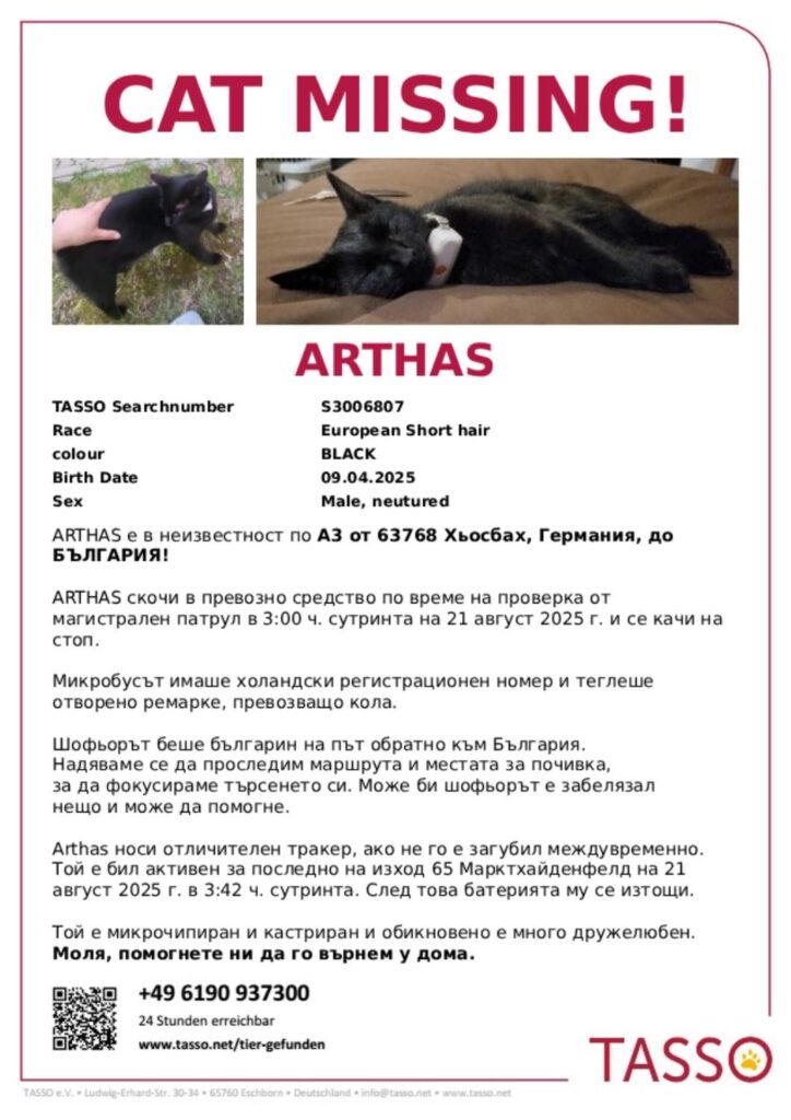 Bulgaria: Wanted Cat - Arthas