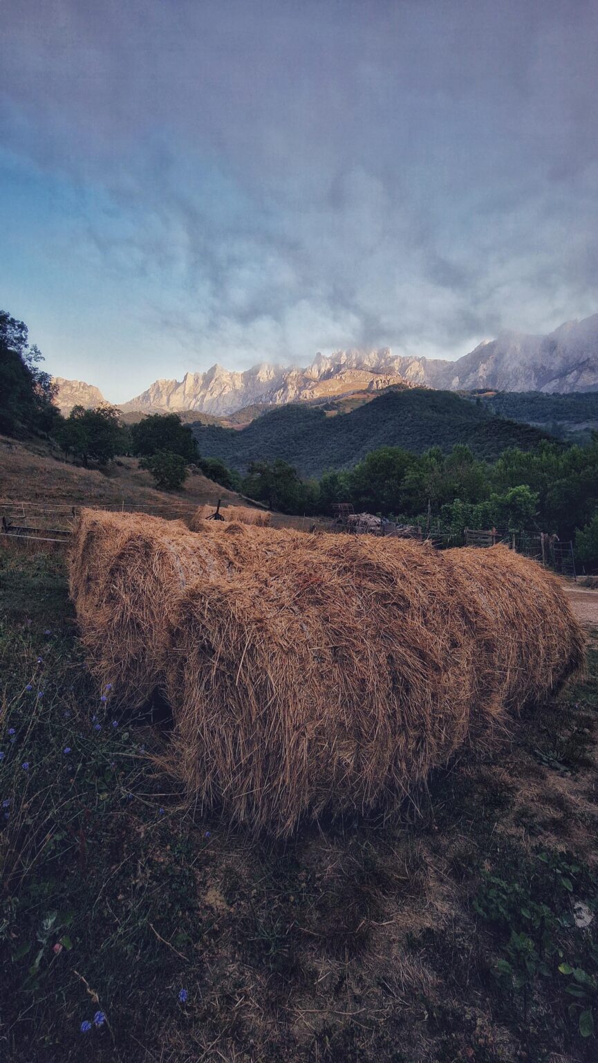 In Liébana the rural and natural go hand in hand.