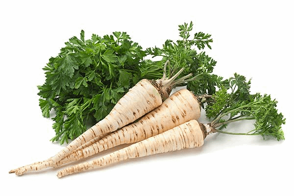 The greatest cultural surprise that in the West they do not eat parsley in the sense of root.