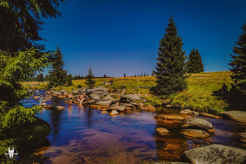 HIKE Izerskie Mountains. Lovely Day Trip From Wrocław HIKE Izerskie Mountains. Lovely Day Trip From Wrocław