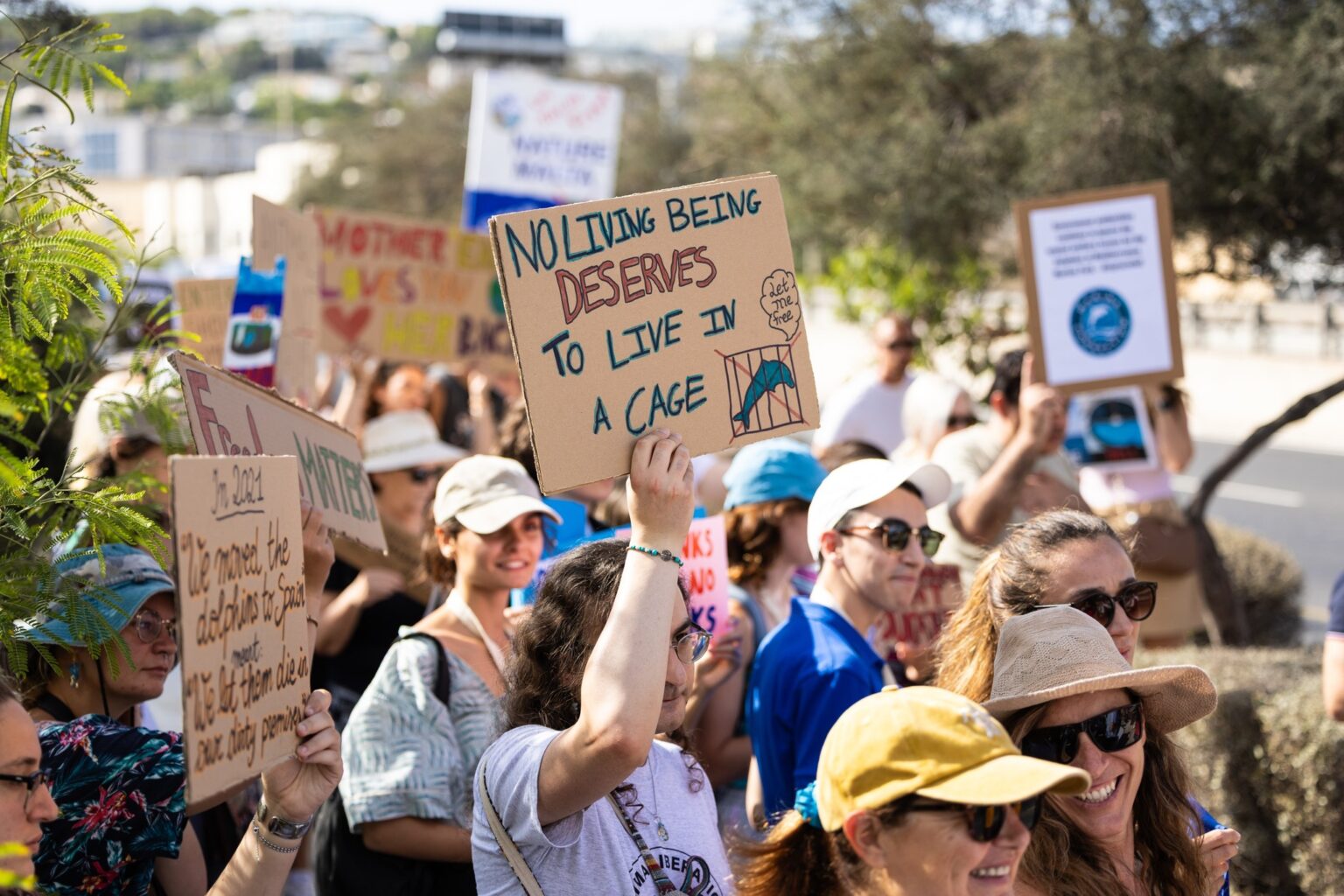 Protesters call for end to marine mammal captivity in Malta