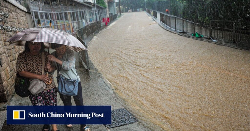 Letters | Hong Kong chief executive can’t treat the environment like a side dish