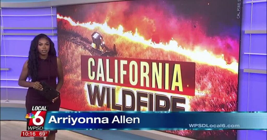 California wildfire impacts environment | Ott