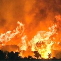 Thousands battle Greece fires as heatwave bakes Europe | National Thousands battle Greece fires as heatwave bakes Europe | National