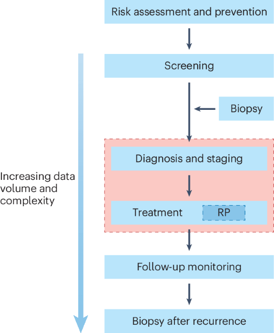 The state of the art in artificial intelligence and digital pathology in prostate cancer