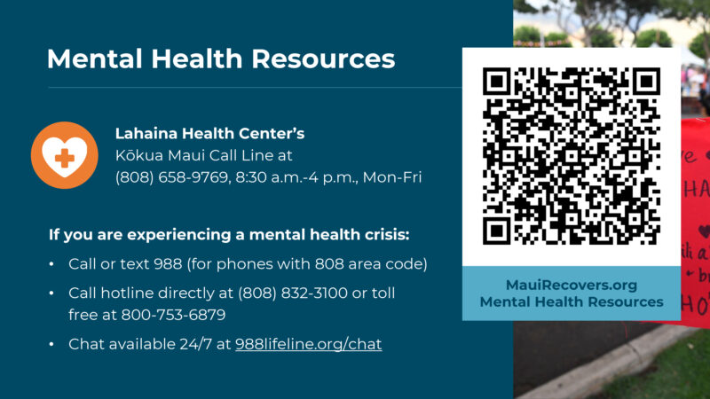 Maui suffering from severe lack of mental health worker | News, Sports, Jobs