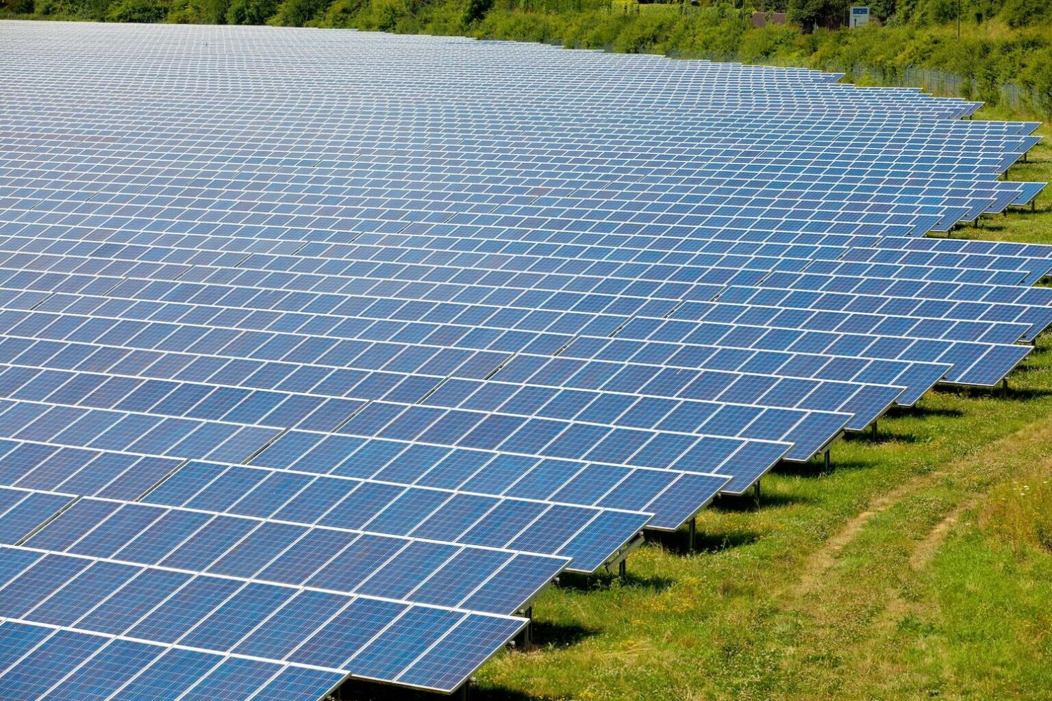 The IEA says renewables, at 36% globally, will overtake coal and become the world's biggest source of electricity generation in 2026.