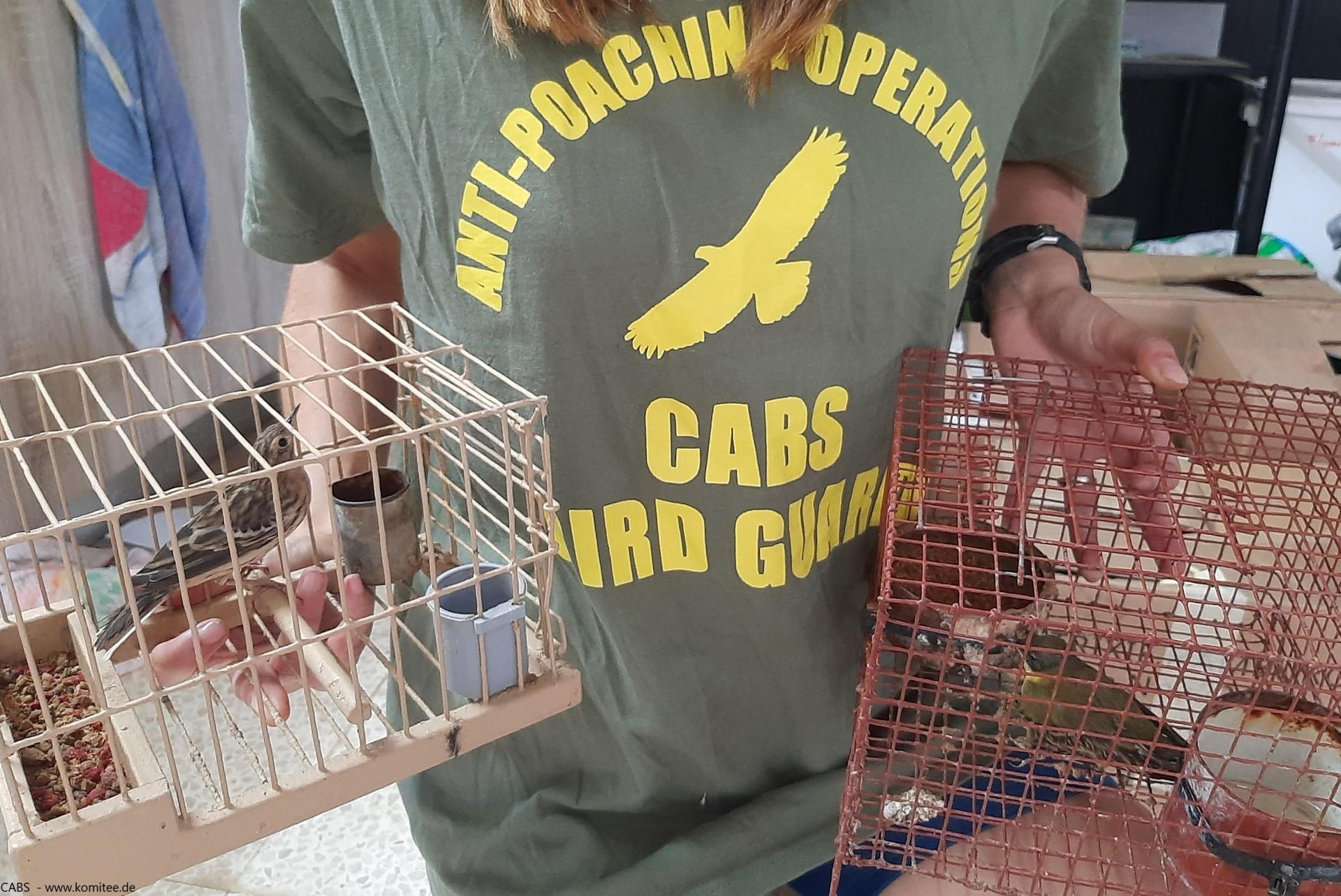 CABS member with Red Throated Pipit Yellow Wegtail seized in Għaxaq. Photo: CABS