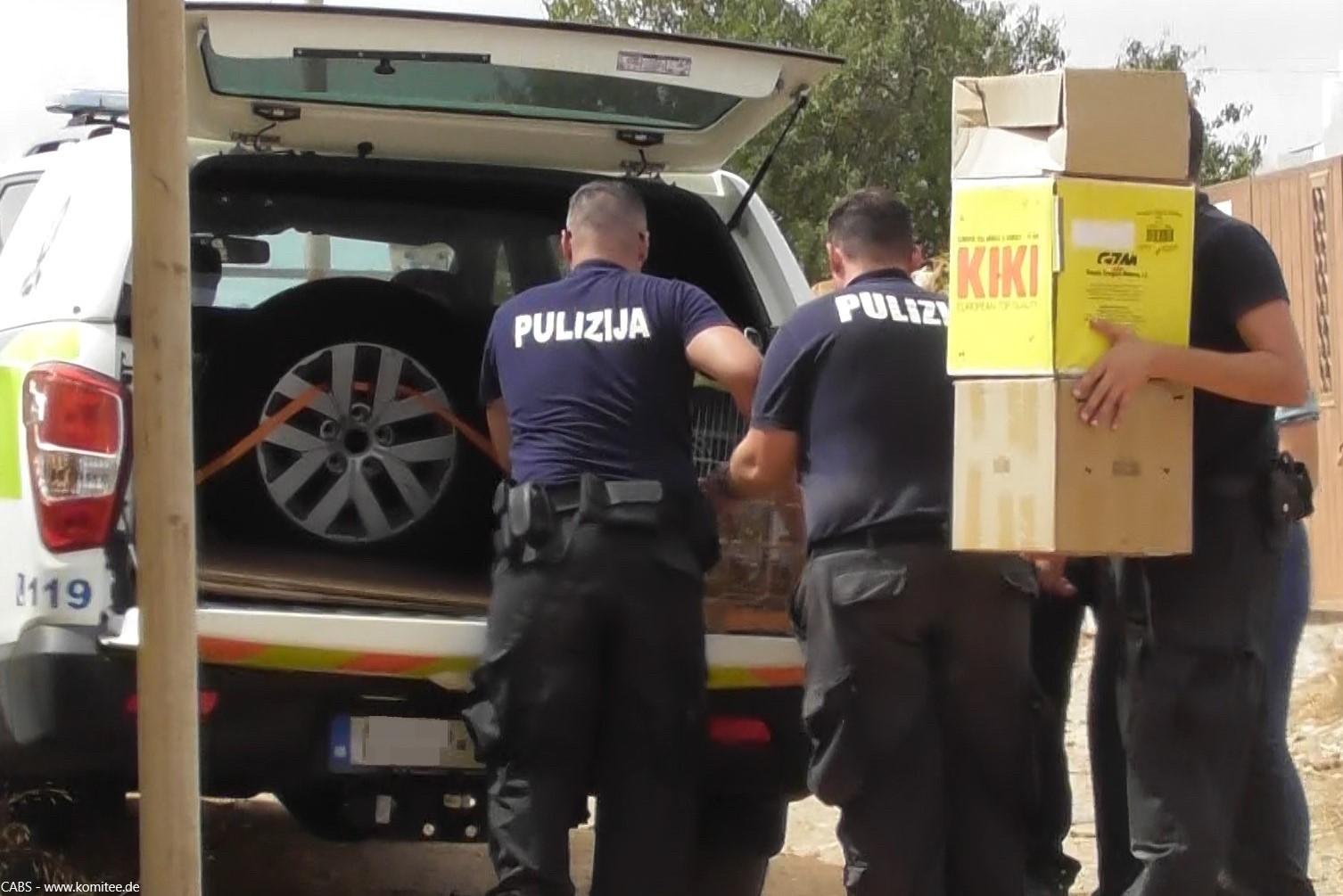 Police confiscating the illegally held birds in September 2022. Photo: CABS