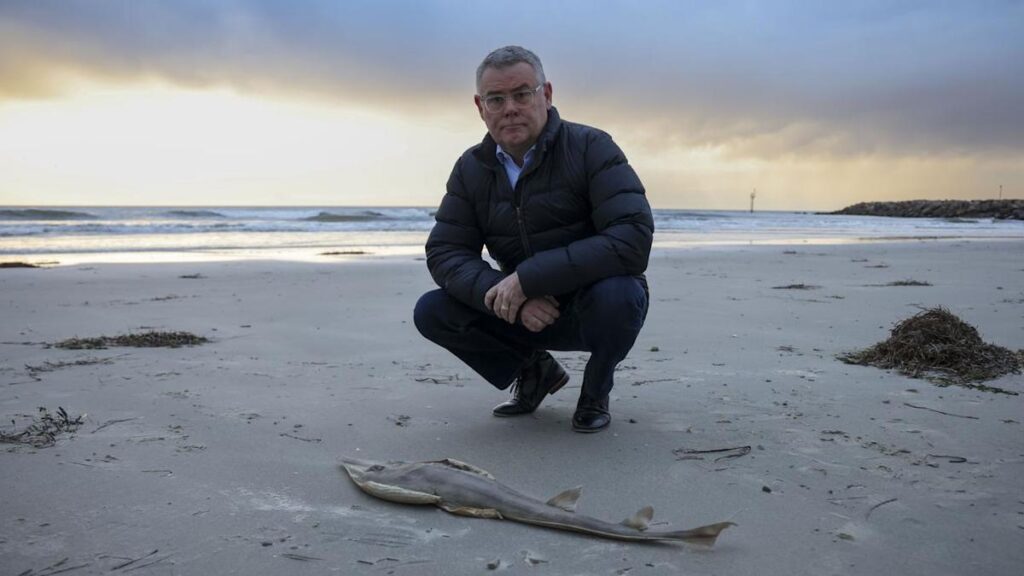 'Tough cop' needed to protect Australia's environment