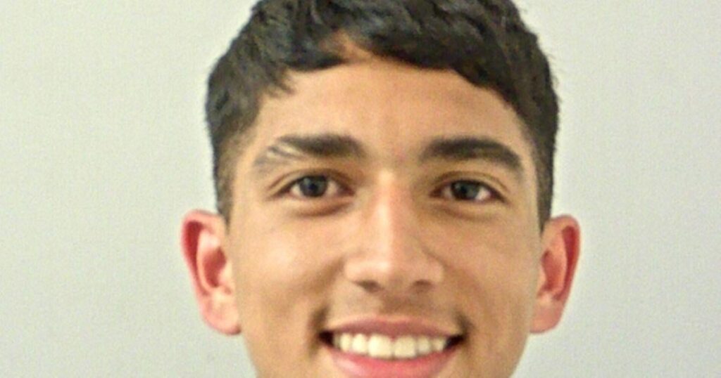 Unmasked: Grinning teen who helped baby killer brother cover-up sickening hit-and-run on pregnant woman