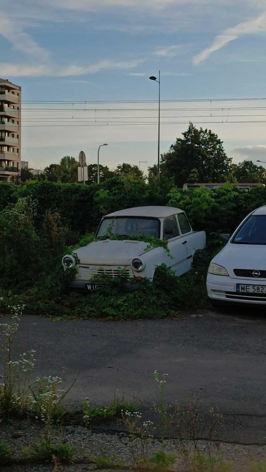 The power of Polish nature