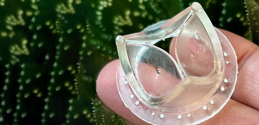 An artificial heart valve made from a new type of plastic could be a step closer to use in humans, following a successful six-month test in sheep.
