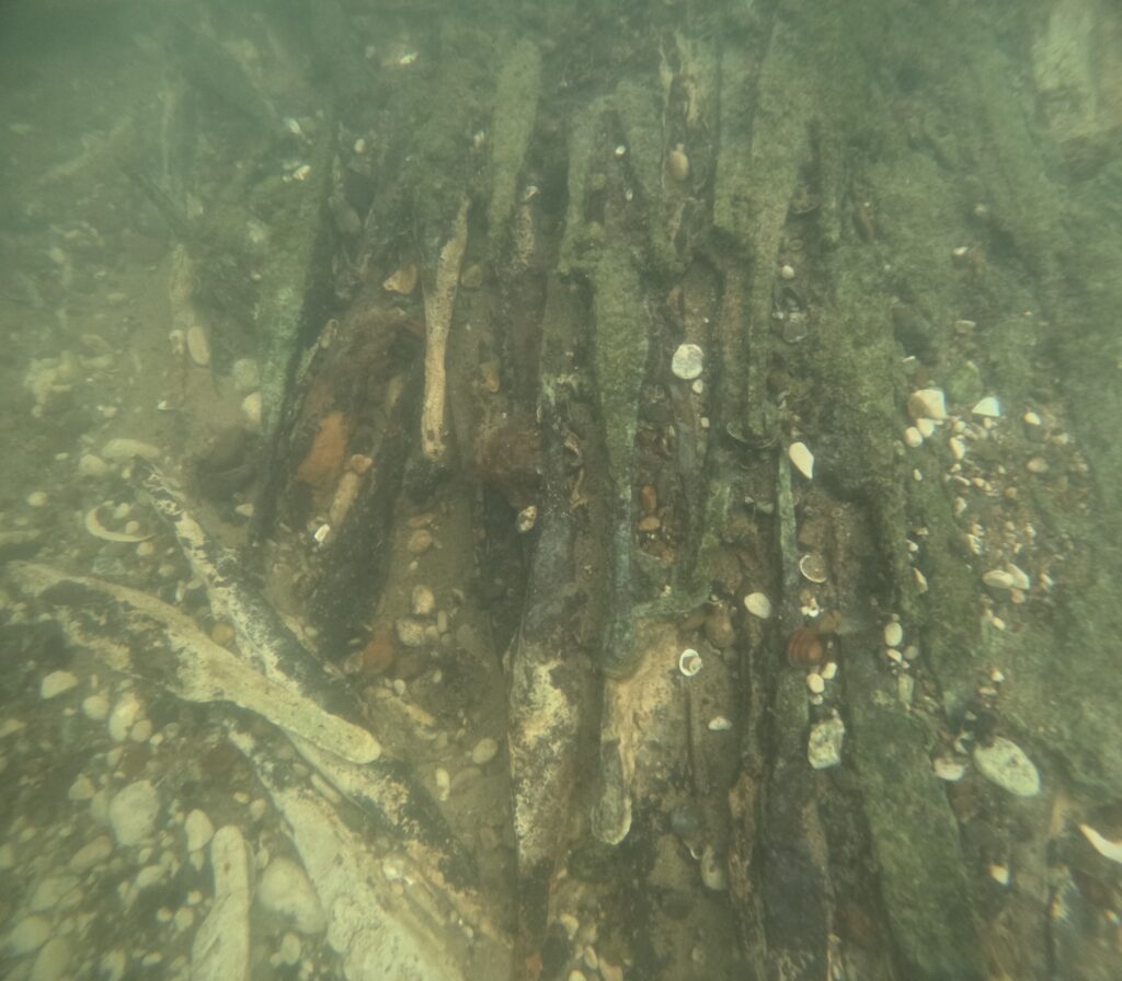 Bosnia and Herzegovina Unearths Europe’s Largest Cache of 2,000-Year-Old Bipyramidal Ingots in the Sava River. Credit: Muzej Franjevačkog samostana Tolisa Vrata Bosne