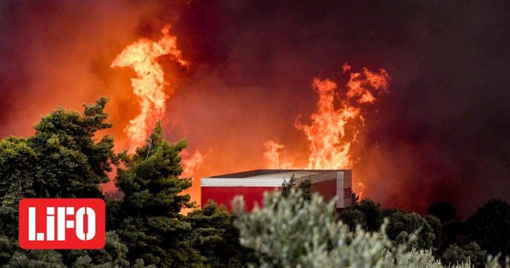 All Greece is burning again, and Zavos found a smart move to order microforestry and give money to priests. (And to firefighters, aura ...)