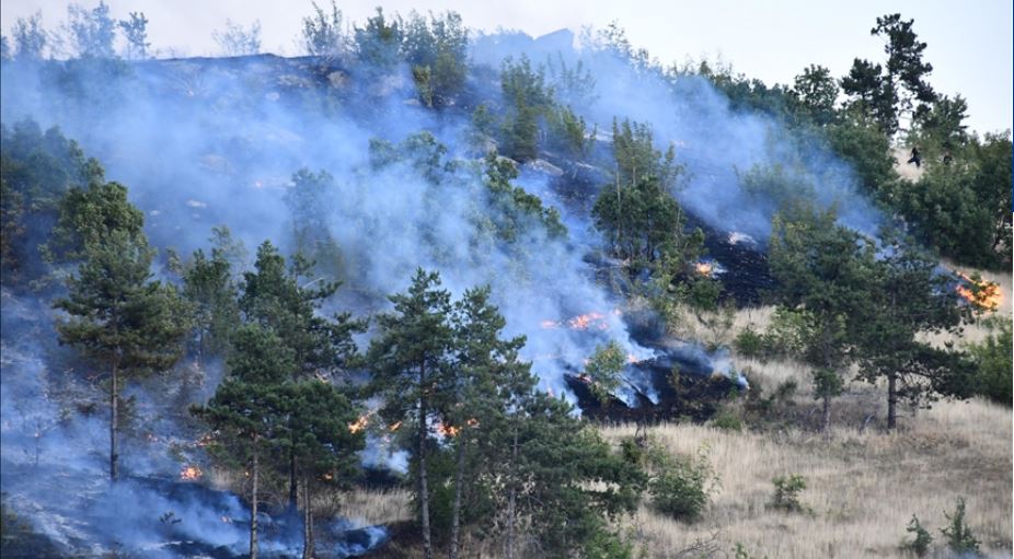 In recent days, Kosovo has battled 57 wildfires, North Macedonia with 27 and Albania with 34