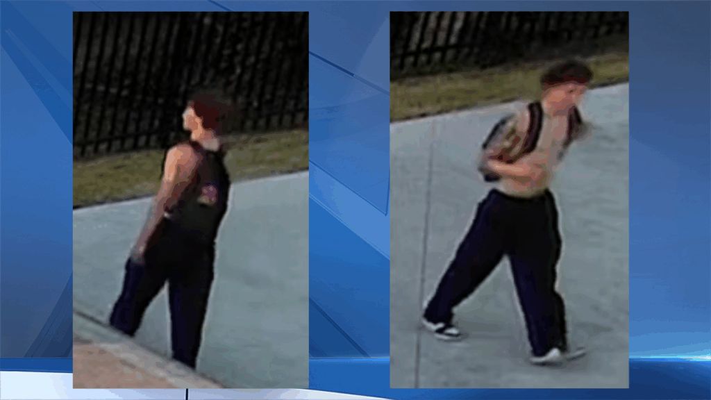 See video: Greece police ask for help identifying skate park graffiti suspect