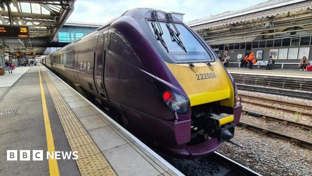 Train delayed 'due to people trying to hang flags'