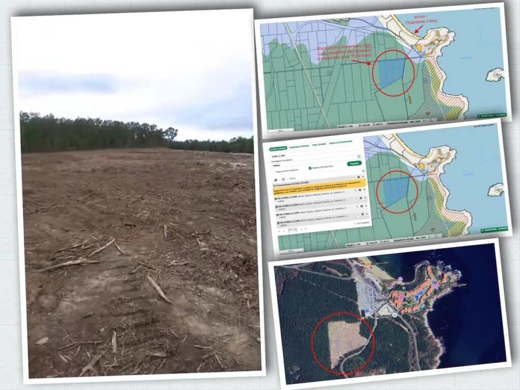 "Business Model": You cut off a forest, you sell it for 200,000, they fined 3500 BGN.