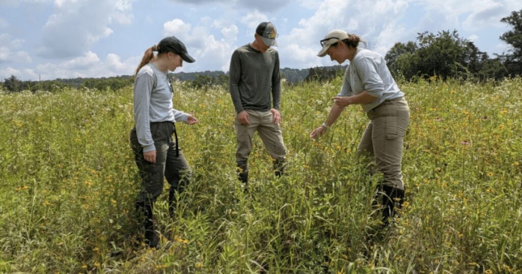 Elizabethtown College Dept. Of Biological & Environmental Sciences Volunteers Offer Expertise During Conewago Biodiversity Monitoring Event In Lancaster County