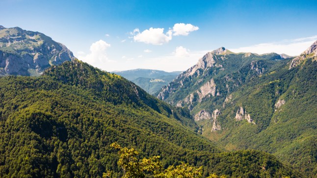 Mountain Scenic in Sutjeska National Park, near Tjentište, Bosnia and Herzegovina